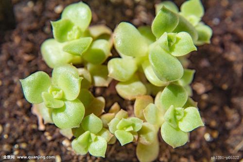 س̨仧ͷʲôźţ